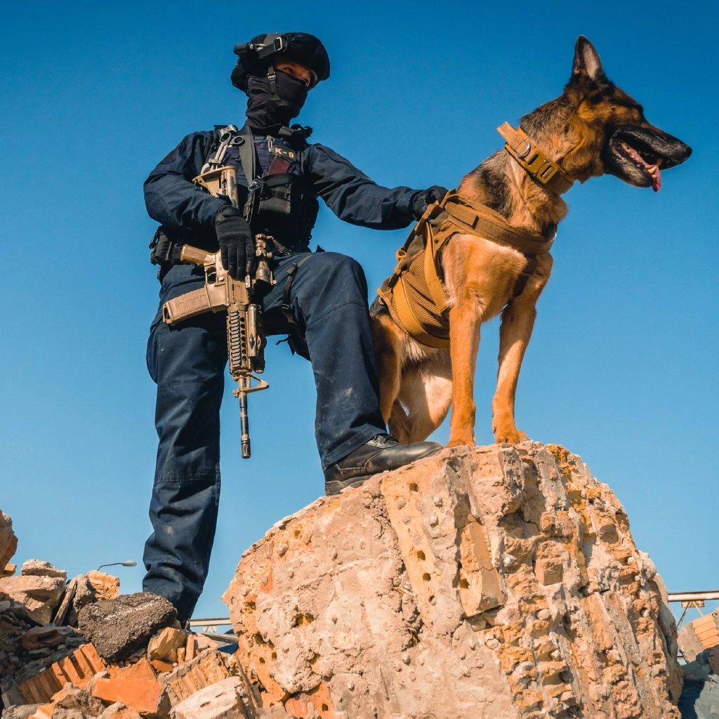 Police and K9 surveying area
