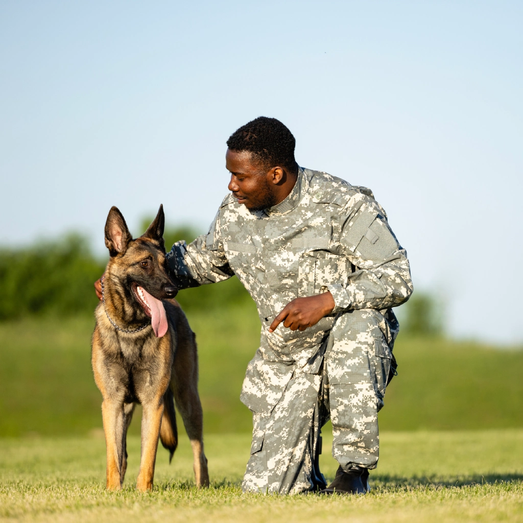 Soldier kneeling with German Shepherd