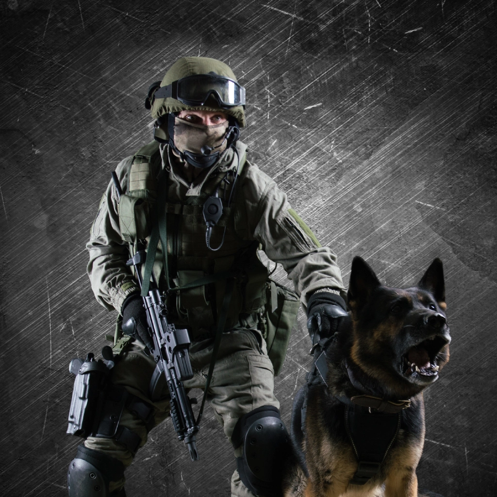 Soldier with tactical gear and dog