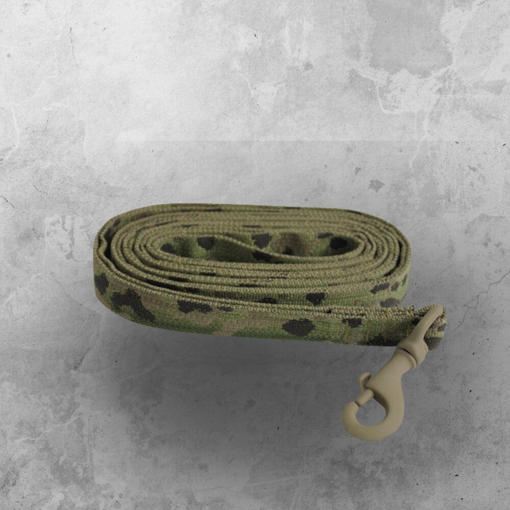 Leads
